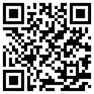 XS浏览器手机版