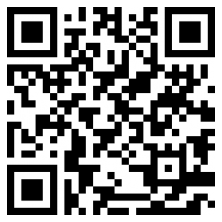 次元壁桌面宠物手机版