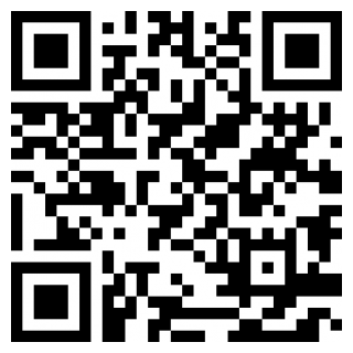 山东强安手机苹果版