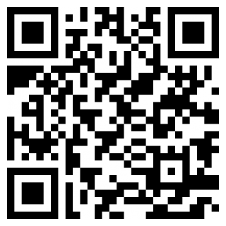 椰岛骑手手机版免费版下载