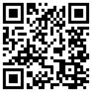 抓鸟翻译ios下载手机版