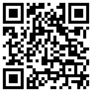 金千枝苹果手机版