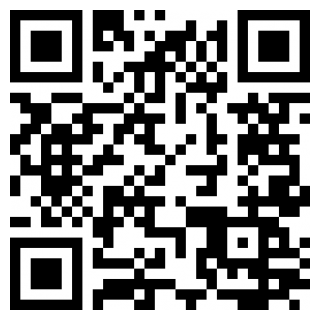 家炫手机版下载安装