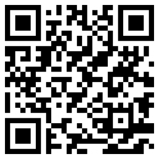 光速虚拟机10版本手机免费版