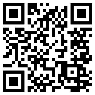 疯狂强盗2免费下载手机版