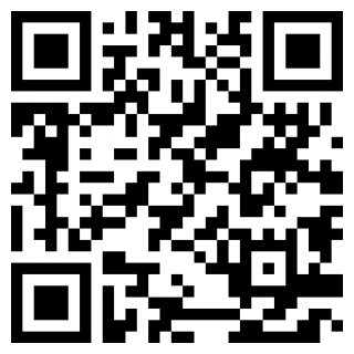 双兵作战下载最新版