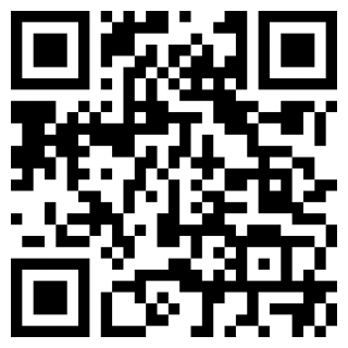 BUD虚拟社交国际服苹果下载免费版