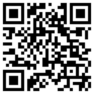 巴士模拟2025版安卓版