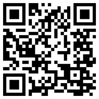 矢量跑酷苹果免费版