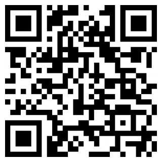 真实飞行模拟器正版苹果免费下载