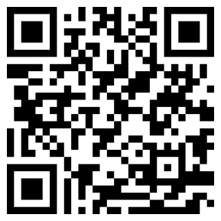 卡车人生安卓版