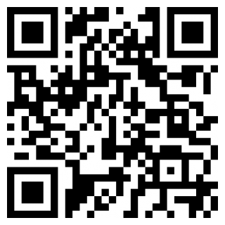 夺命邮差2手机版