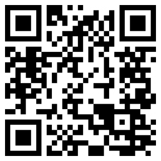 真实飞行模拟器中文版ios版