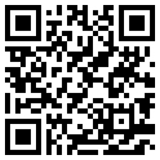 布丁翻译安卓版