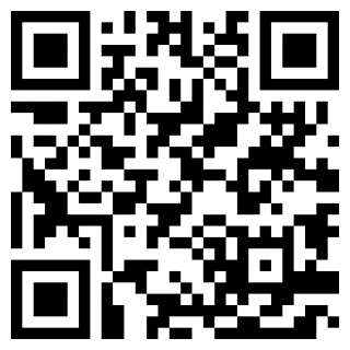 元气桌面壁纸手机版ios版