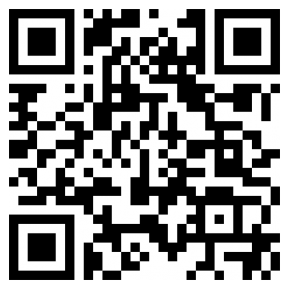 武装掠夺下载手机版本