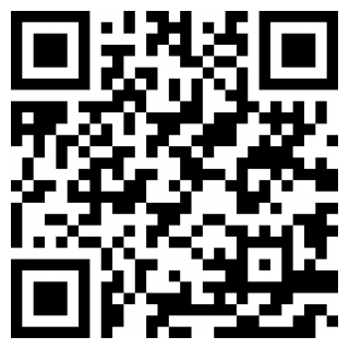 简单飞机汉化版苹果免费版