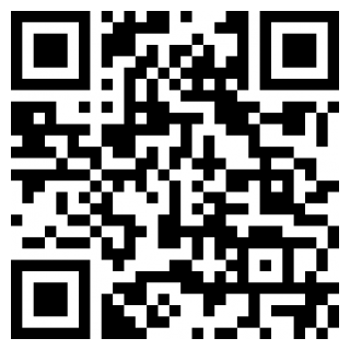 少年骇客酷跑苹果下载免费版