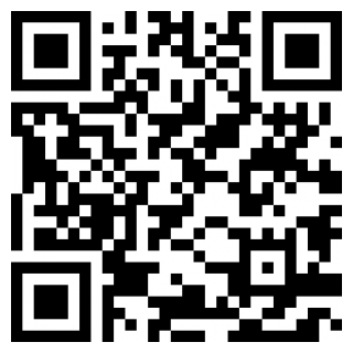 拥挤城市安卓版