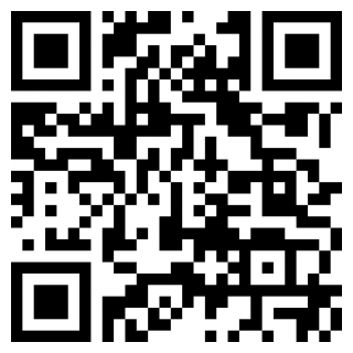 真实飞行模拟器RFS手机下载安装