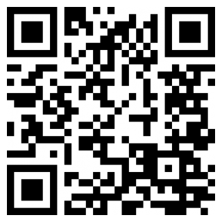 孤独的鸟儿手机下载安装