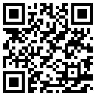 德天大宗司机版