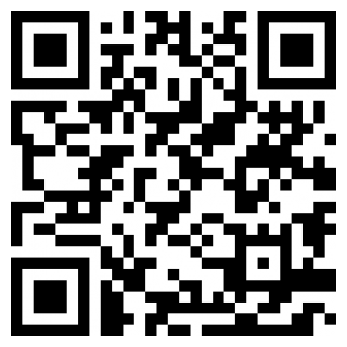 口袋妖怪燃之智汉化版gbaios下载