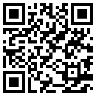 乐酷桌面公签版苹果版下载安装