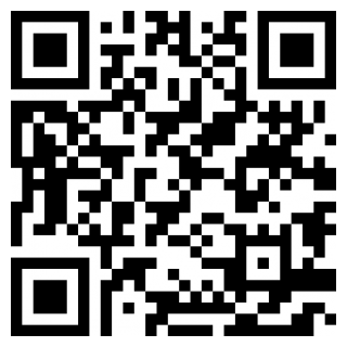 两个人的游戏挑战安卓2025下载安装