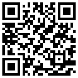 最后幸存鸡手机版免费版