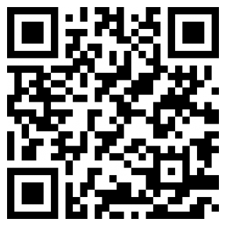 像素少女波卡下载ios版本