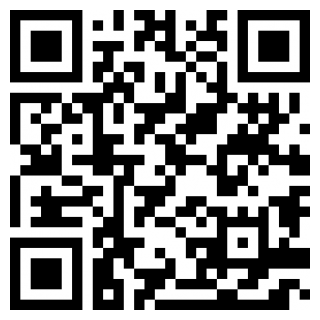 恶霸鲁尼最新版本