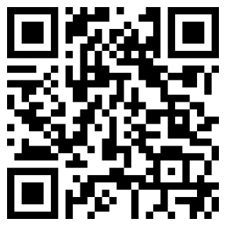 孤独的鸟儿免费版下载安装