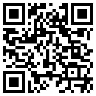 俄罗斯钓鱼4手机下载