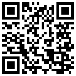 掌上飞车手游助手