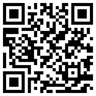 波兰球之战手机免费版