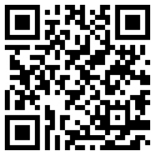 车300专业版手机下载苹果版