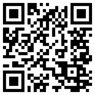 忍者行动队手机下载苹果版