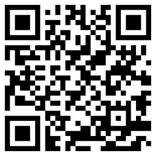 黑鬼城市猎车免费ios下载