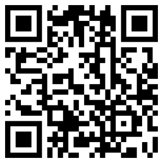 元气桌面壁纸手机ios下载