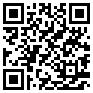 网上国网手机版苹果免费下载