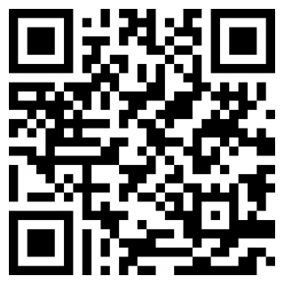 秘密电梯重制版ios下载