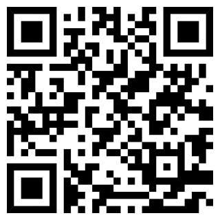 小偷大师苹果版免费版