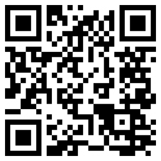 车300二手车估价最新