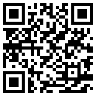 泰安人社个人查询