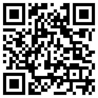 死亡忍者阴影苹果下载安装