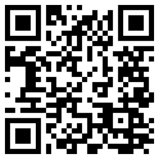 乐享趣皮手机版