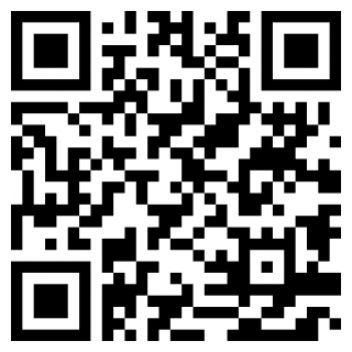 罗布乐思皮肤制作工坊手机版