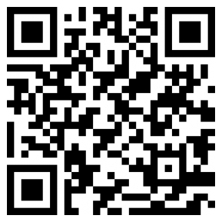 空闲颜色入侵者苹果版