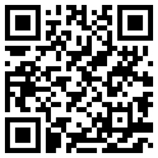 支小二服务官方版